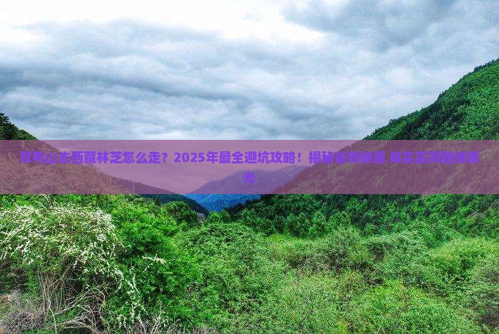 双鸭山去西藏林芝攻略