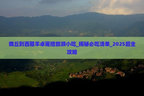商丘到西藏羊卓雍措旅游小吃