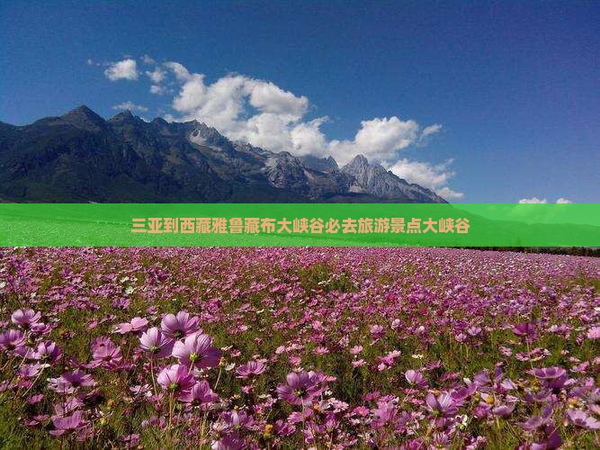 三亚到西藏雅鲁藏布大峡谷必去地