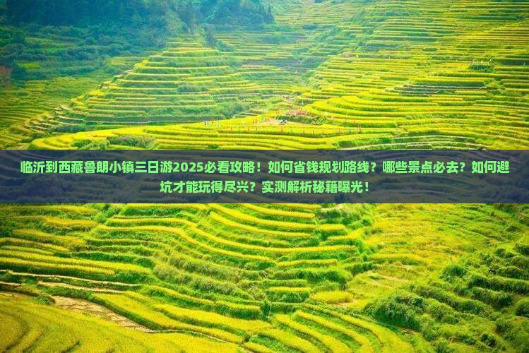 临沂到西藏鲁朗小镇三日游