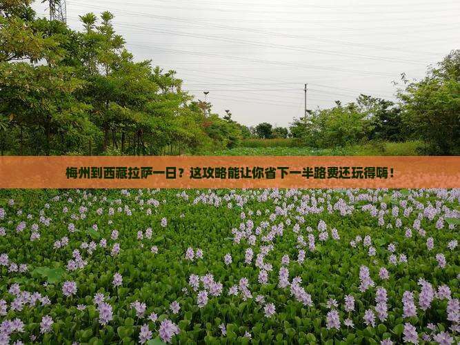 梅州到西藏拉萨一日