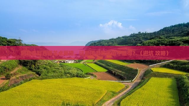 阿勒泰到西藏羊卓雍措团体旅游 阿勒泰到西藏羊卓雍措团体旅游