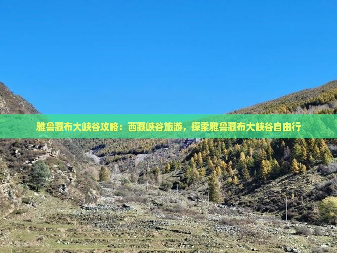二月到西藏雅鲁藏布大峡谷自由行