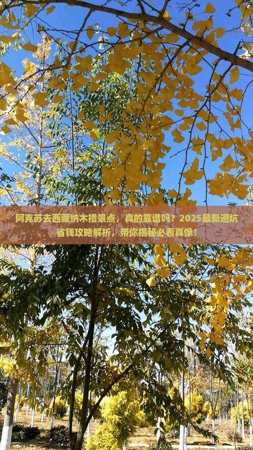 阿克苏去西藏纳木措景点