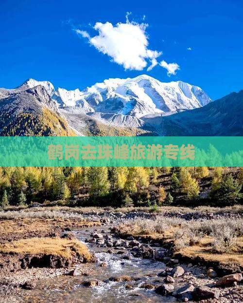 鹤岗去西藏珠峰大本营旅行社