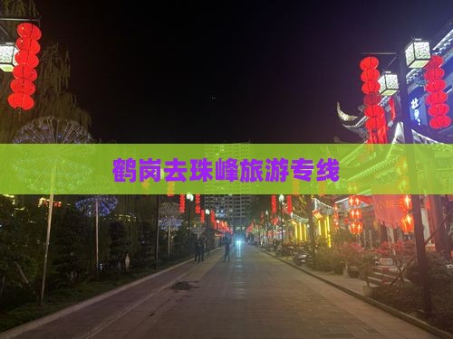 鹤岗去西藏珠峰大本营旅行社