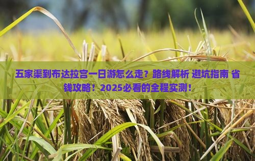 五家渠到西藏布达拉宫一日
