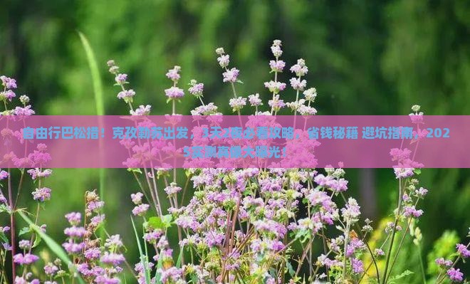 克孜勒苏到西藏巴松措自由团