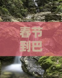 春节到西藏巴松措旅游
