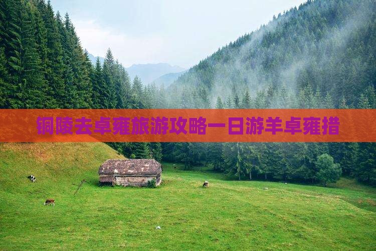 铜陵去西藏羊卓雍措一日