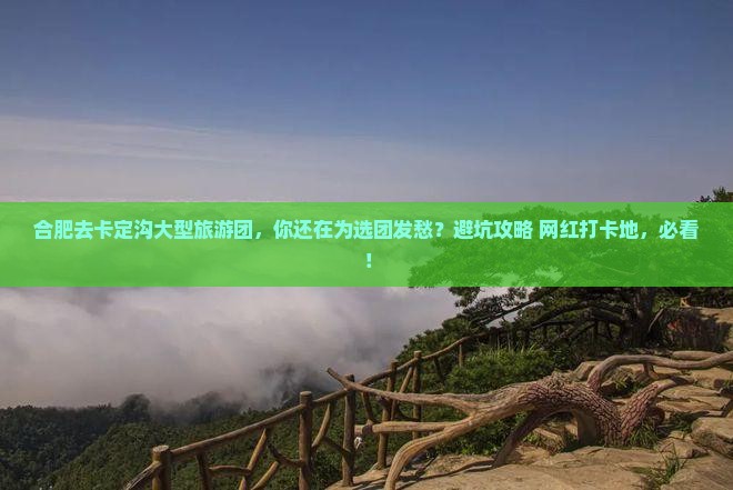 合肥去西藏卡定沟大型旅游团