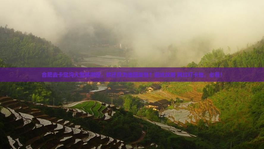合肥去西藏卡定沟大型旅游团