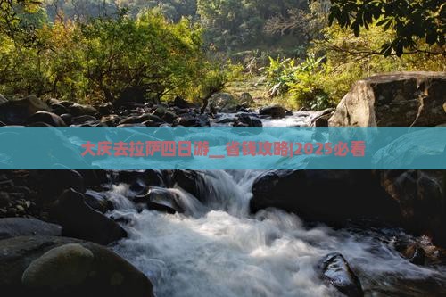 大庆去西藏拉萨四日游
