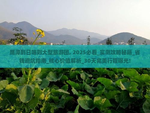 鹰潭到西藏日喀则大型旅游团