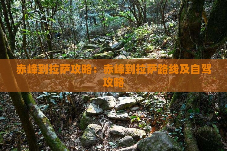赤峰到西藏拉萨攻略