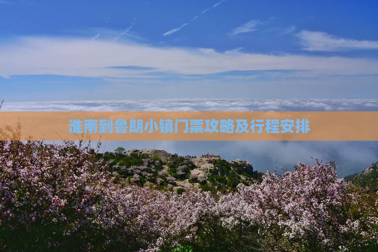 淮南到西藏鲁朗小镇门票