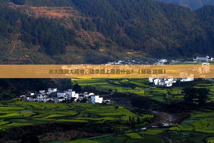 大理去西藏大昭寺必去地
