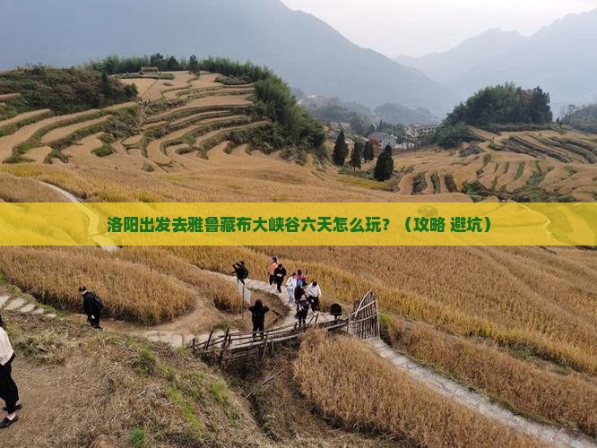 洛阳去西藏雅鲁藏布大峡谷六日游