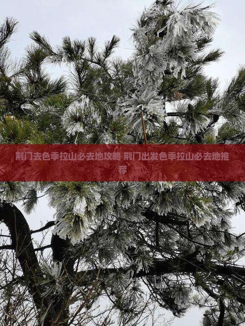 荆门去西藏色季拉山必去地