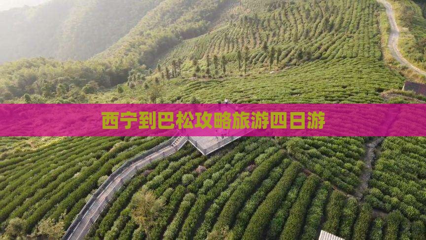 西宁到西藏巴松措四日游