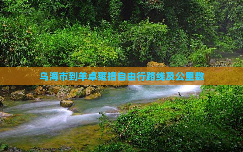 乌海市到西藏羊卓雍措自由行
