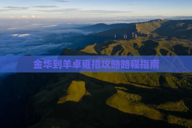 金华到西藏羊卓雍措攻略