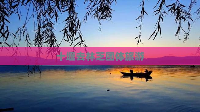 十堰去西藏林芝团体旅游