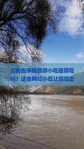 宣城去西藏珠峰大本营旅游小吃