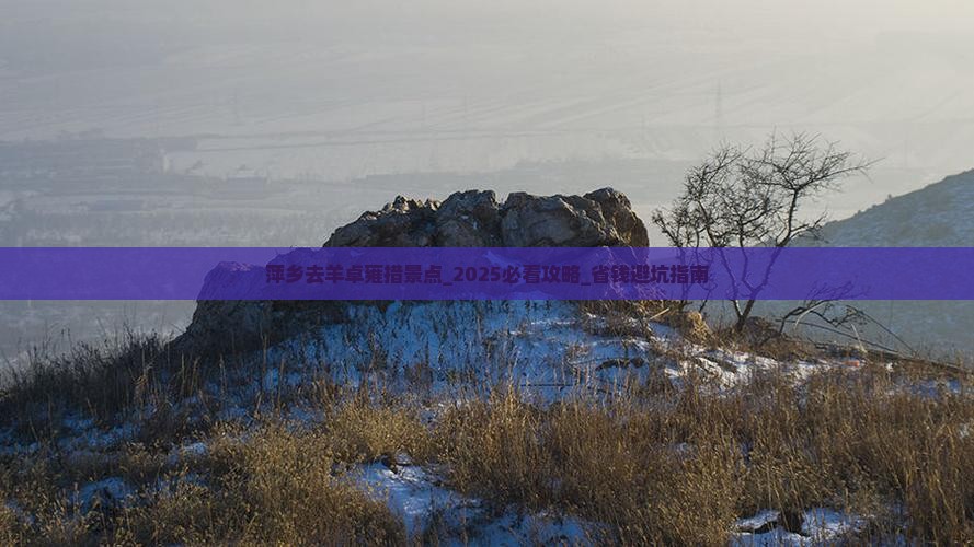 萍乡去西藏羊卓雍措景点