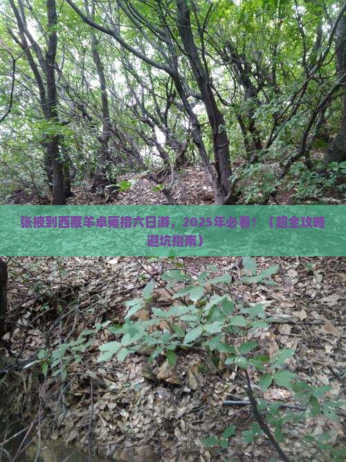 张掖去西藏羊卓雍措六日游