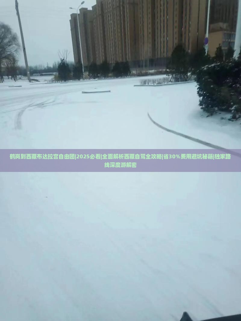 鹤岗到西藏布达拉宫自由团