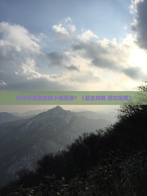 呼和浩特去西藏鲁朗小镇团体旅游