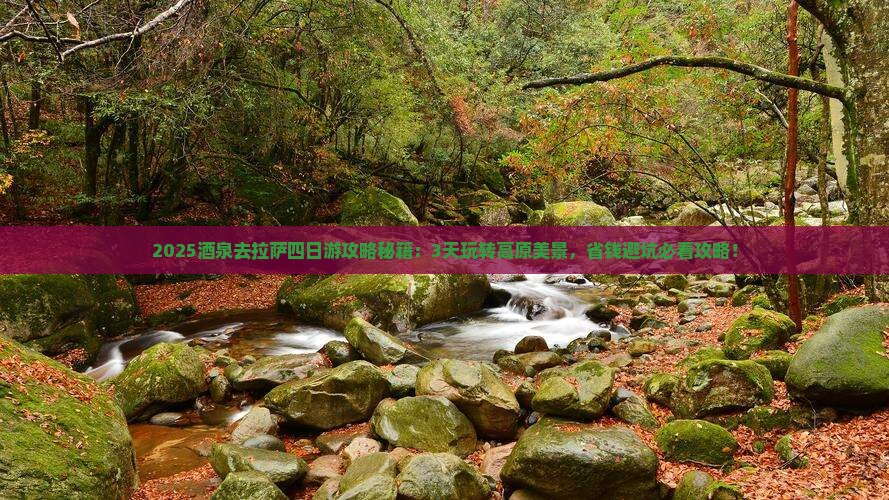 酒泉去西藏拉萨四日游