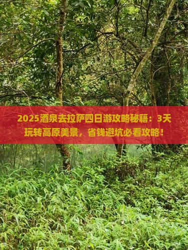 酒泉去西藏拉萨四日游