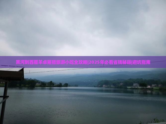 黑河到西藏羊卓雍措旅游小吃