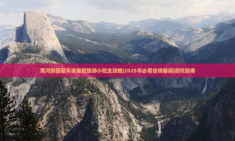 黑河到西藏羊卓雍措旅游小吃