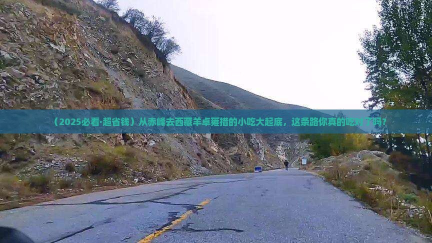 赤峰到西藏羊卓雍措旅游小吃