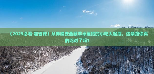 赤峰到西藏羊卓雍措旅游小吃