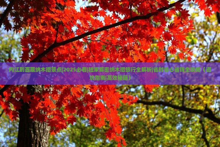 内江到西藏纳木措景点