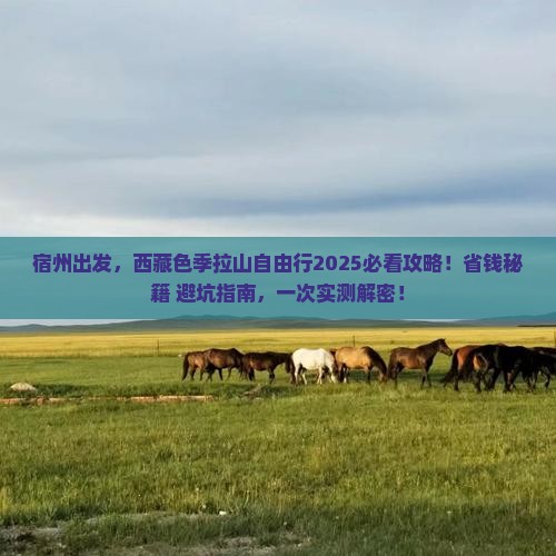 宿州去西藏色季拉山自由行