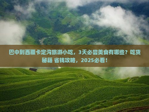 巴中到西藏卡定沟旅游小吃