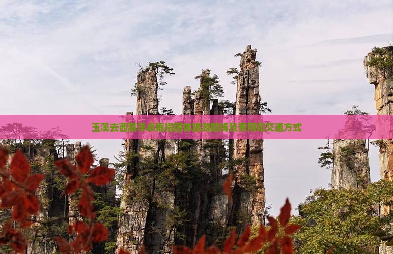 玉溪去西藏羊卓雍措团体旅游 玉溪去西藏羊卓雍措团体旅游