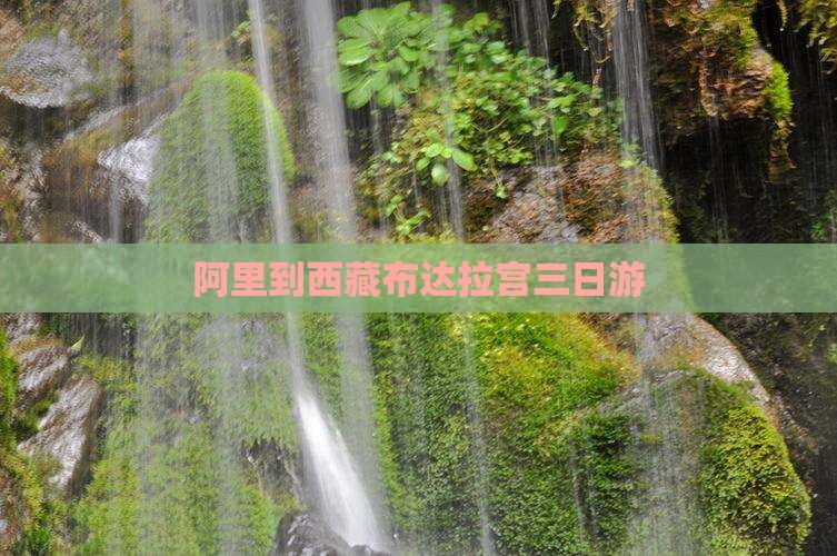 阿里到西藏布达拉宫三日游