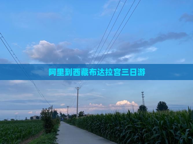 阿里到西藏布达拉宫三日游