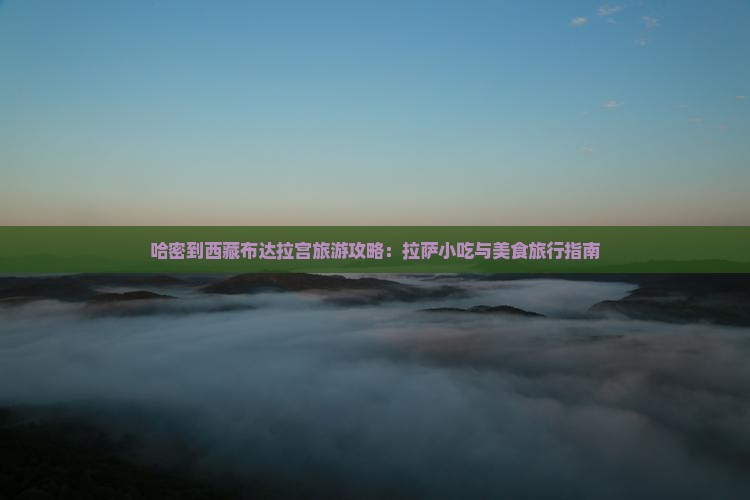 哈密到西藏布达拉宫旅游小吃