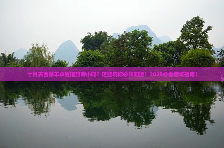 十月去西藏羊卓雍措旅游小吃