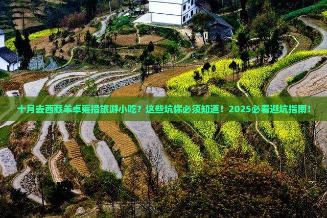十月去西藏羊卓雍措旅游小吃