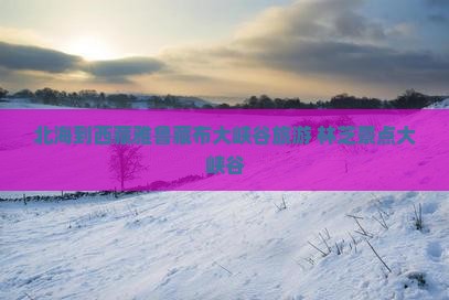 北海到西藏雅鲁藏布大峡谷旅行社