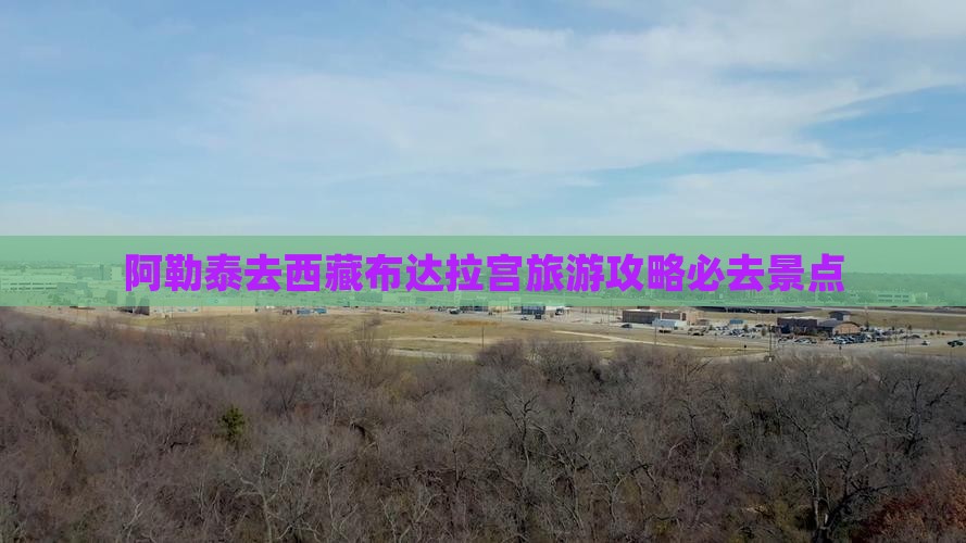 阿勒泰去西藏布达拉宫必去地