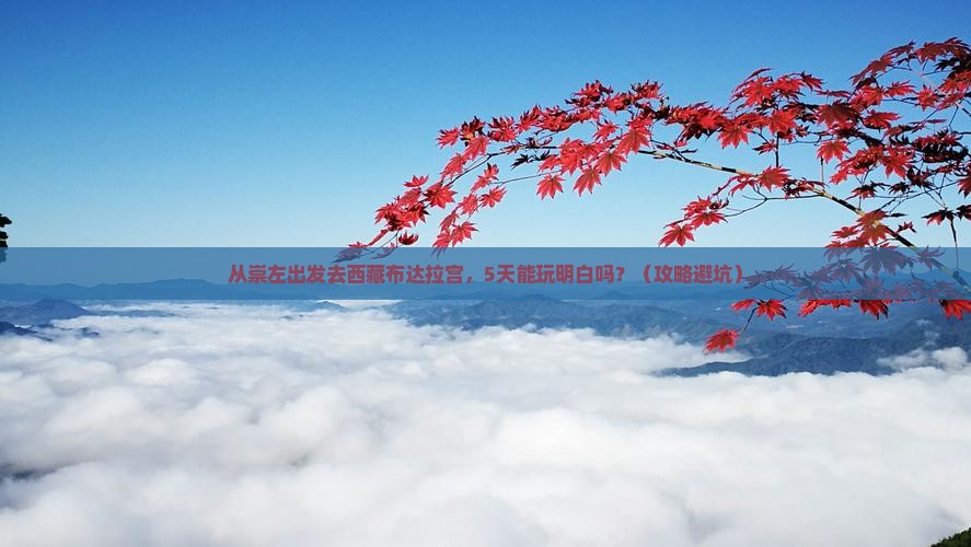 崇左去西藏布达拉宫五日游